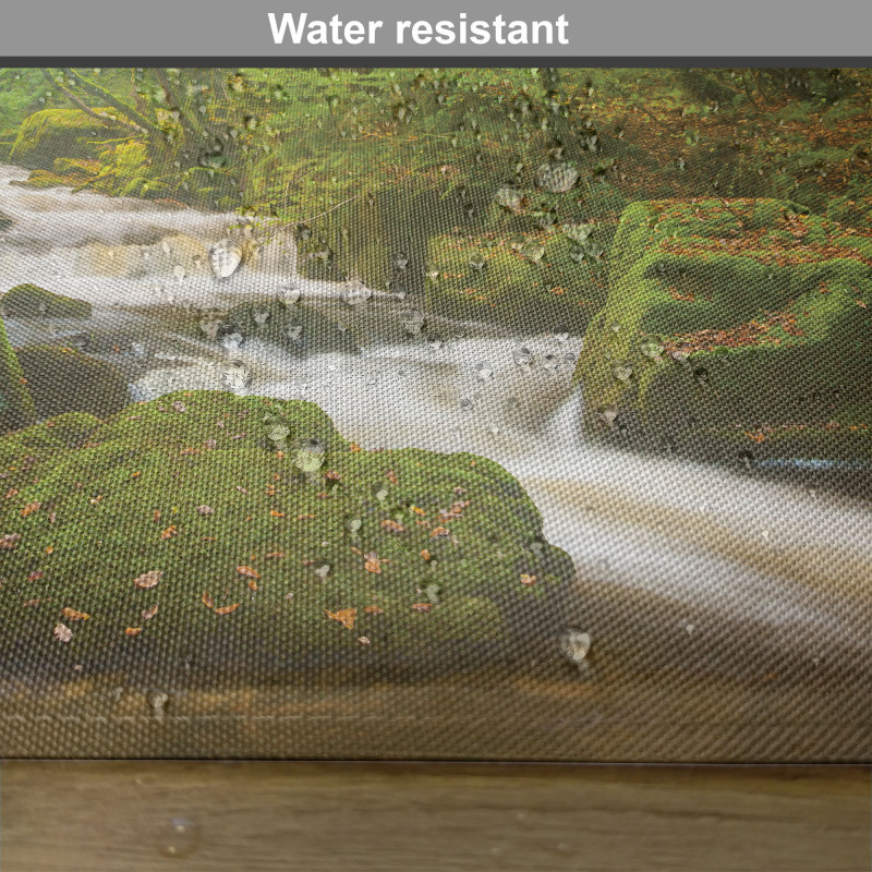 Forest at Golitha Falls Place Mats