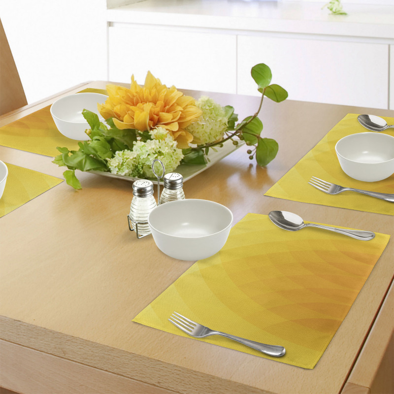Color Shades Modern Place Mats