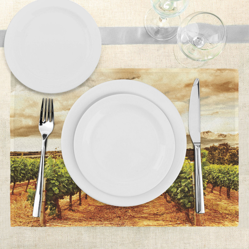 Cloudy Vineyard in Fall Place Mats