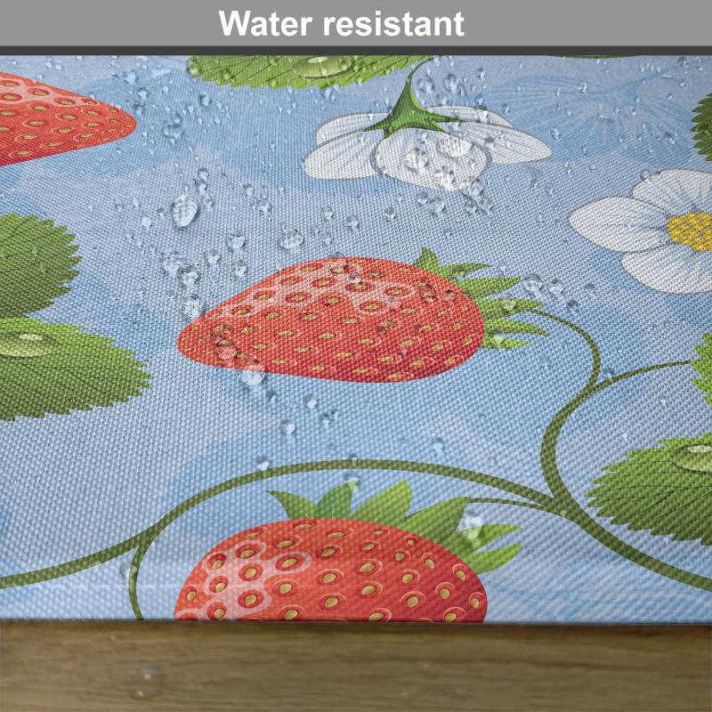 Strawberry Daisy Retro Place Mats