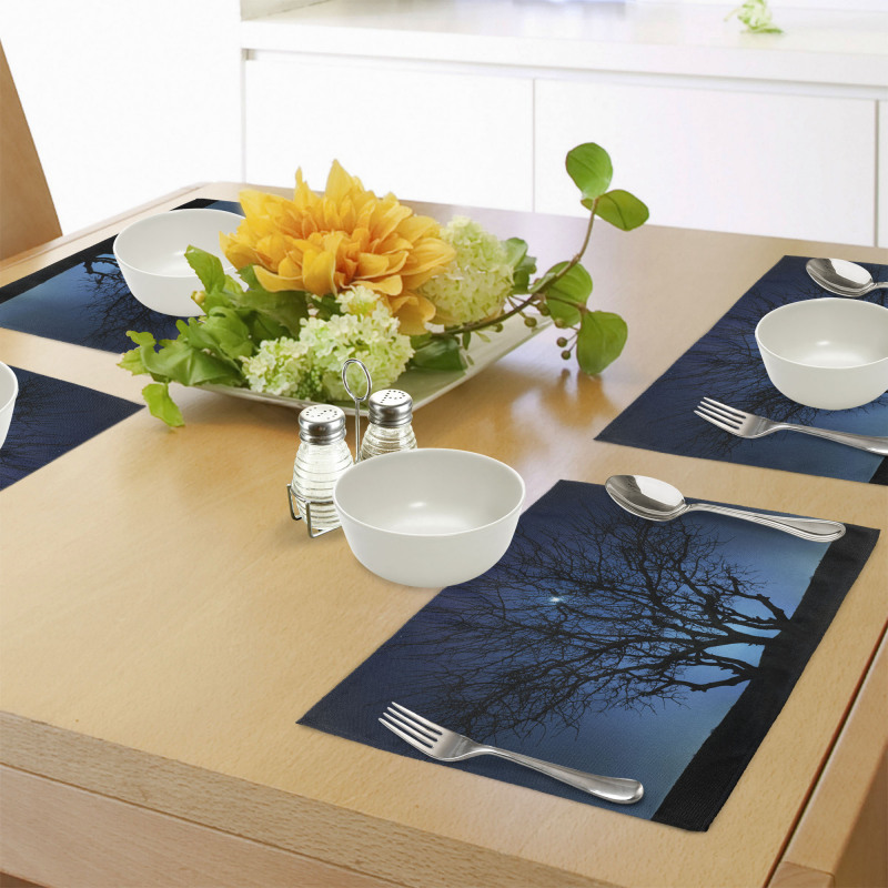 Night Moon Cosmos Place Mats