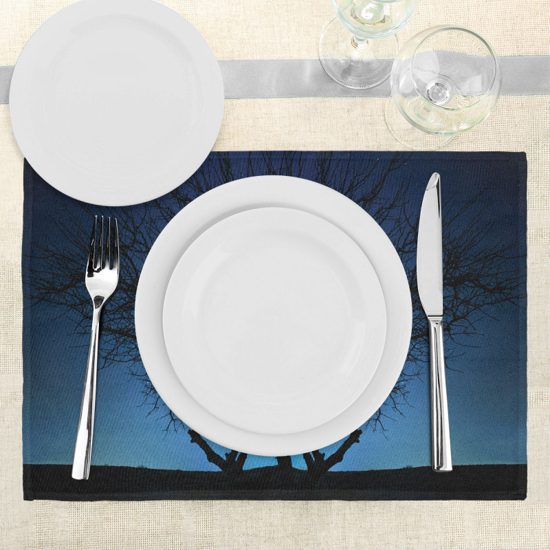 Night Moon Cosmos Place Mats