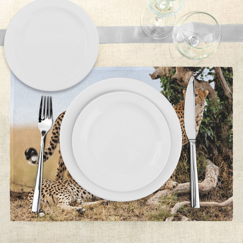 Safari Animal Cheetahs Place Mats