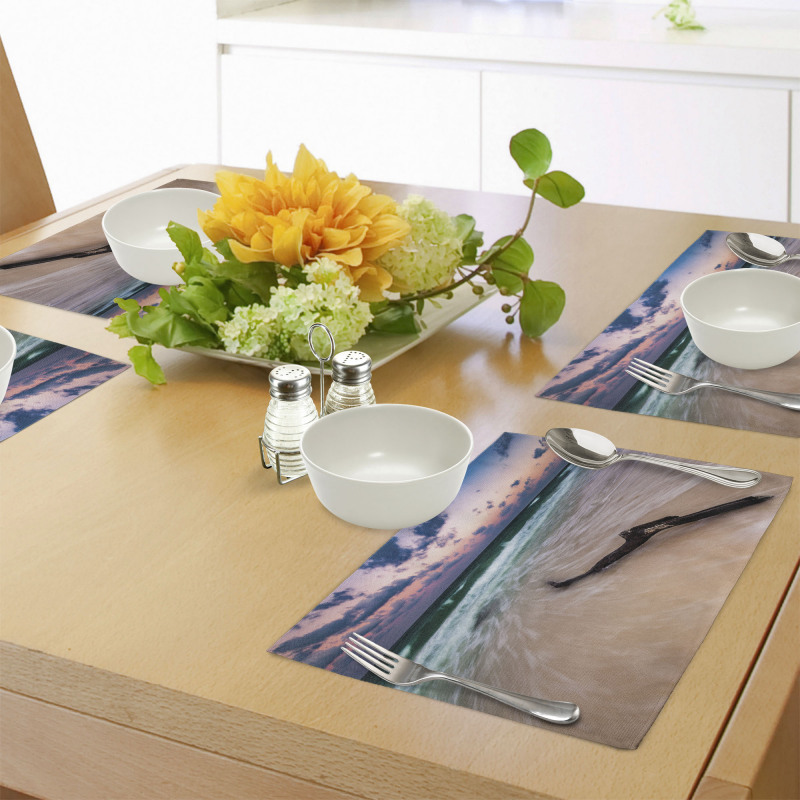 Driftwood on Beach Place Mats