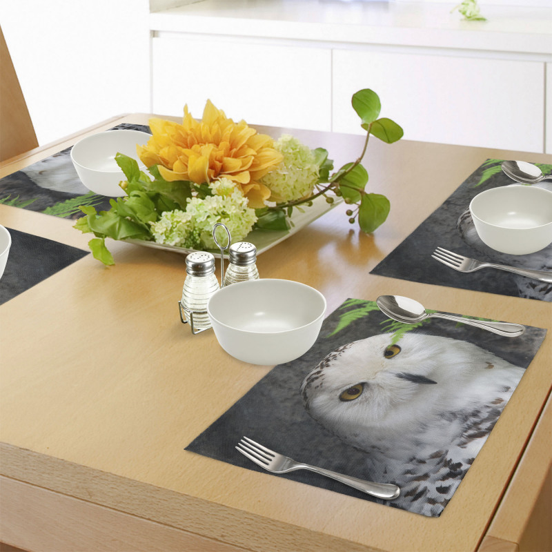 Magician Pet White Owl Place Mats