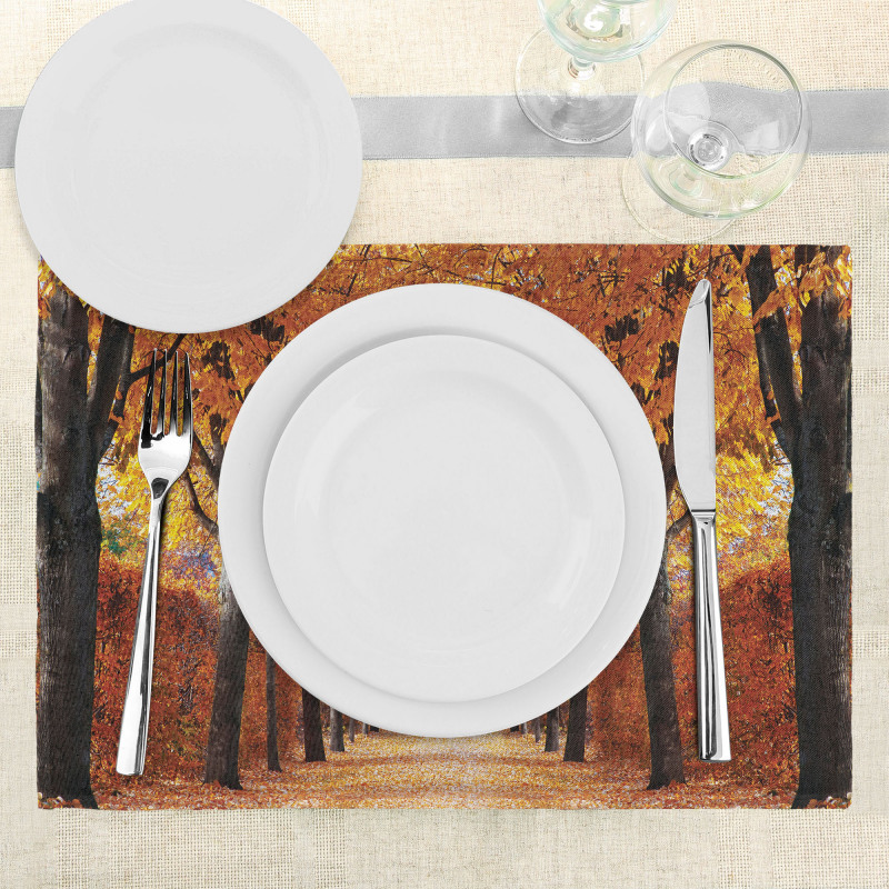 Pathway in the Woods Place Mats