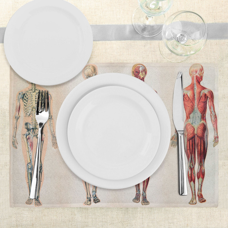 Anatomy Human Body Place Mats