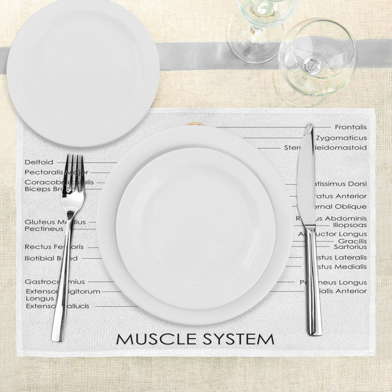 Biology Muscle System Place Mats