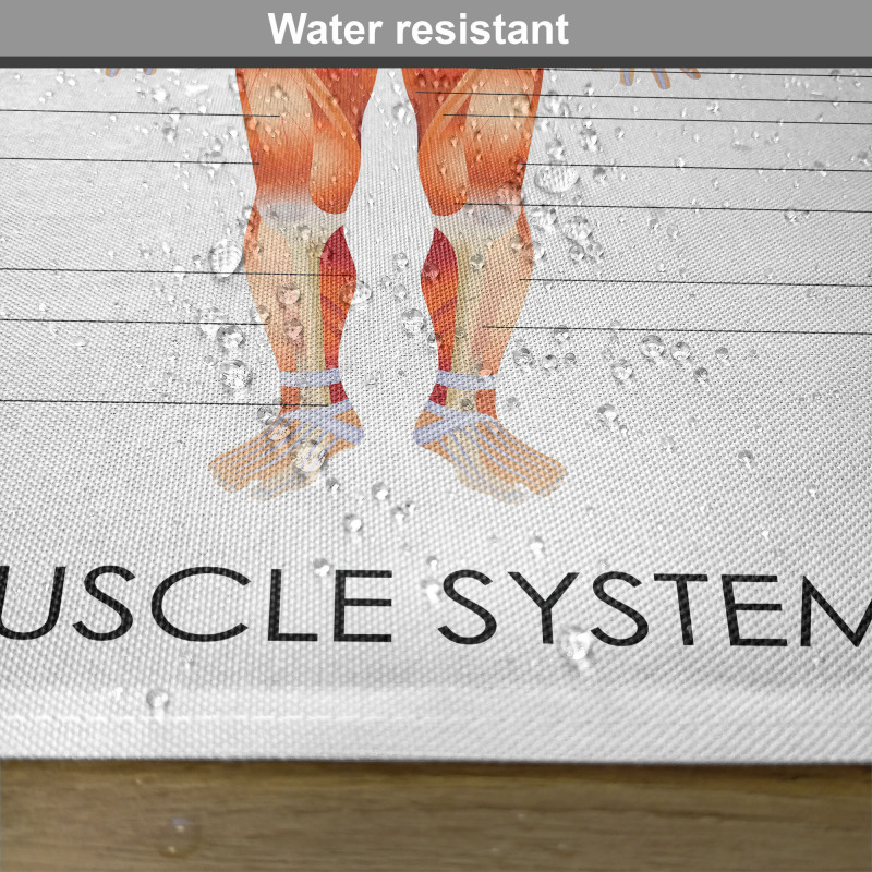 Biology Muscle System Place Mats