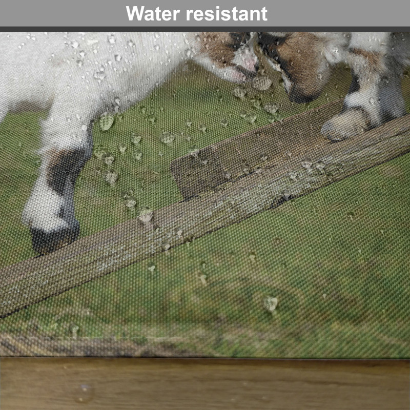 Farm Life with Goats Place Mats