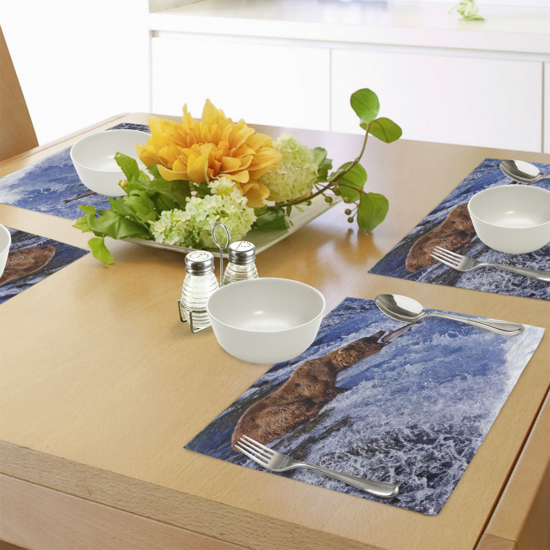 Grizzly Bear at Katmai Place Mats