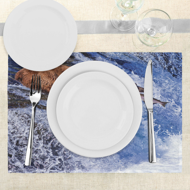 Grizzly Bear at Katmai Place Mats