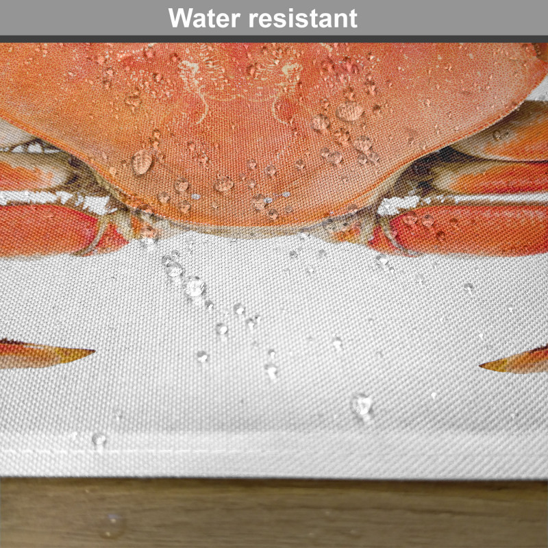 Cooked Dungeness Crab Place Mats