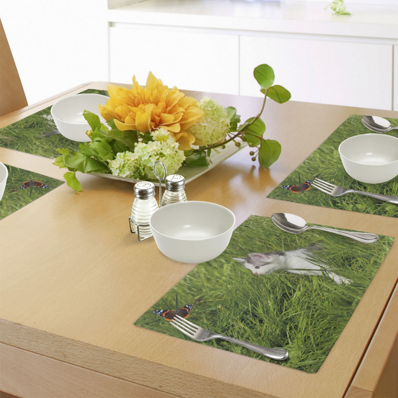 Cat and Butterfly Place Mats