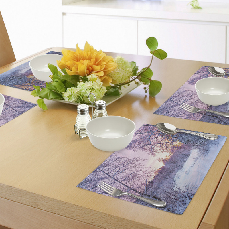 Braches Snowy Sunset Place Mats