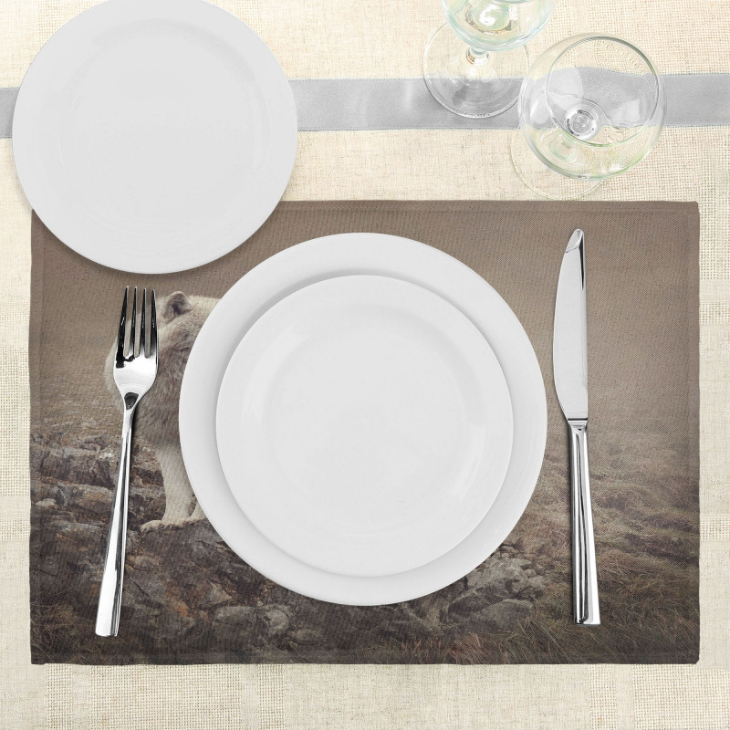 White Wolf on the Rocks Place Mats