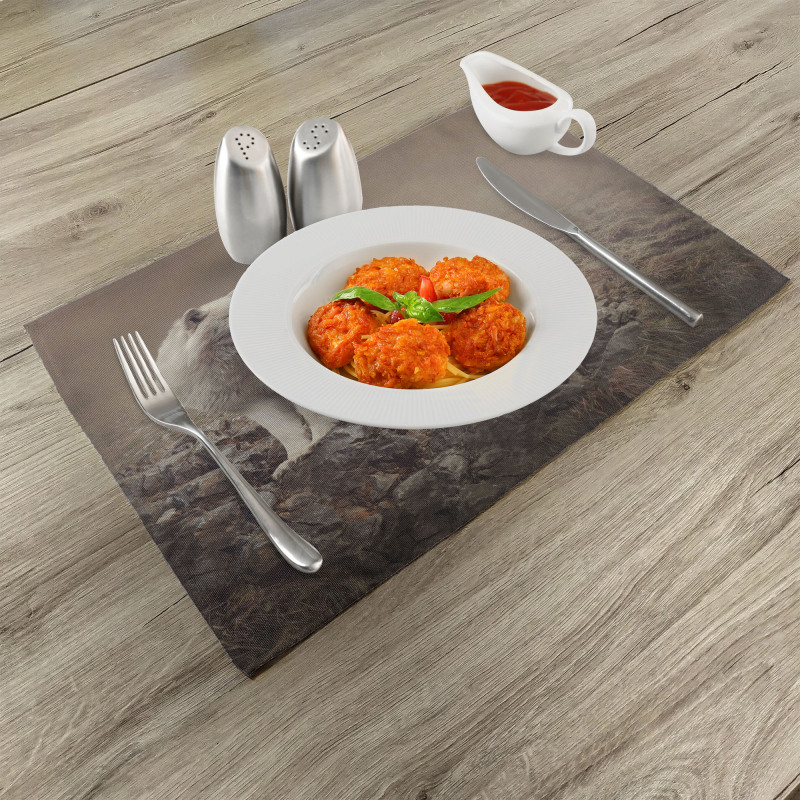 White Wolf on the Rocks Place Mats