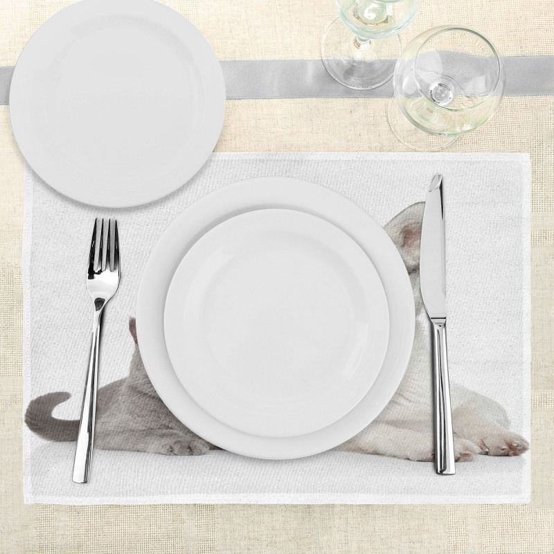 Animals Pets Dogs Digital Place Mats