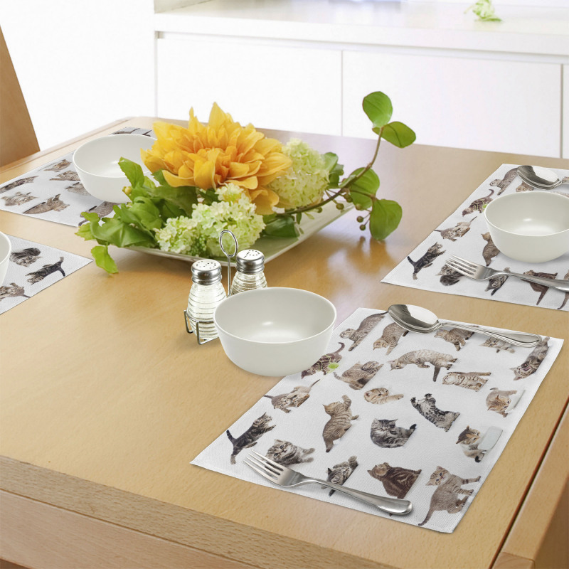 Funny Playful Cats Image Place Mats