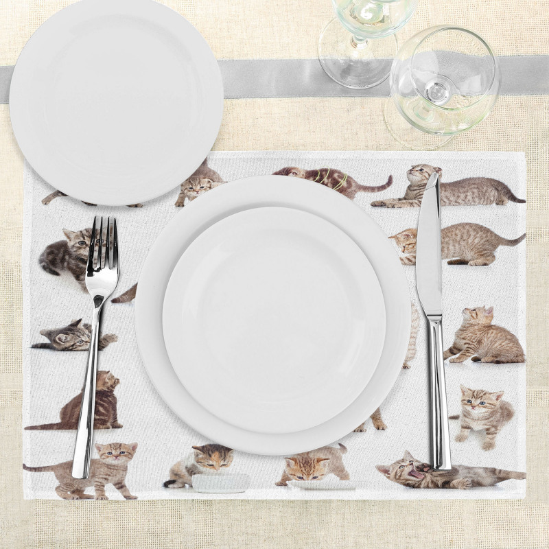 Funny Playful Cats Image Place Mats