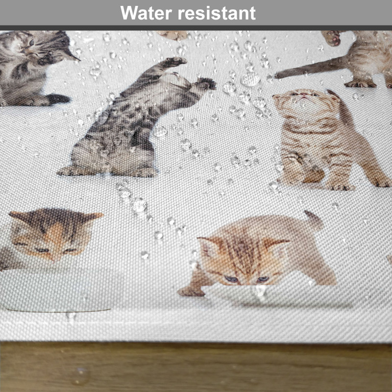 Funny Playful Cats Image Place Mats