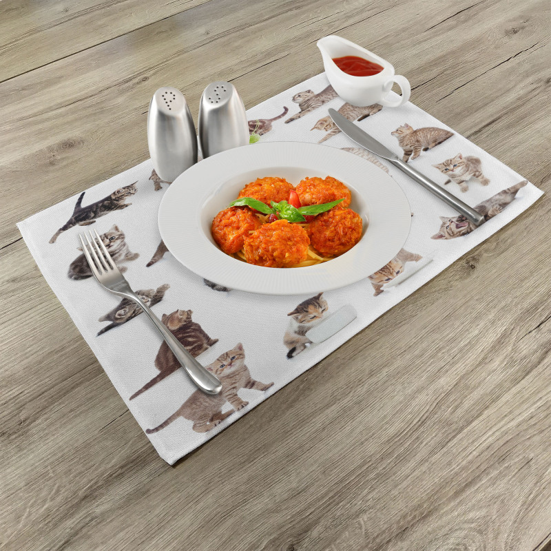 Funny Playful Cats Image Place Mats