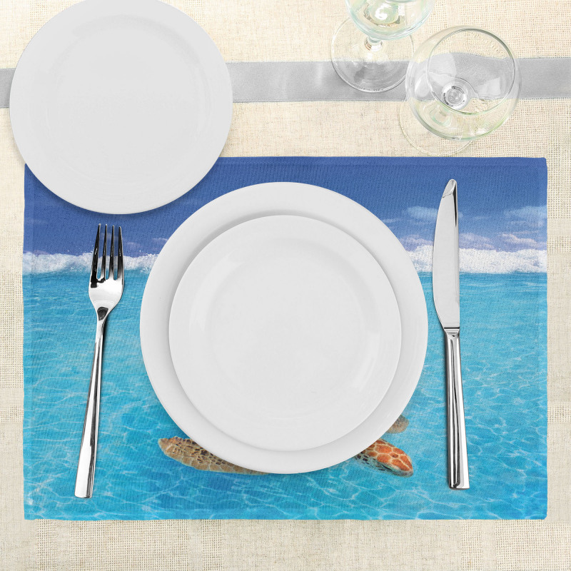 Chelonia Water Surface Place Mats