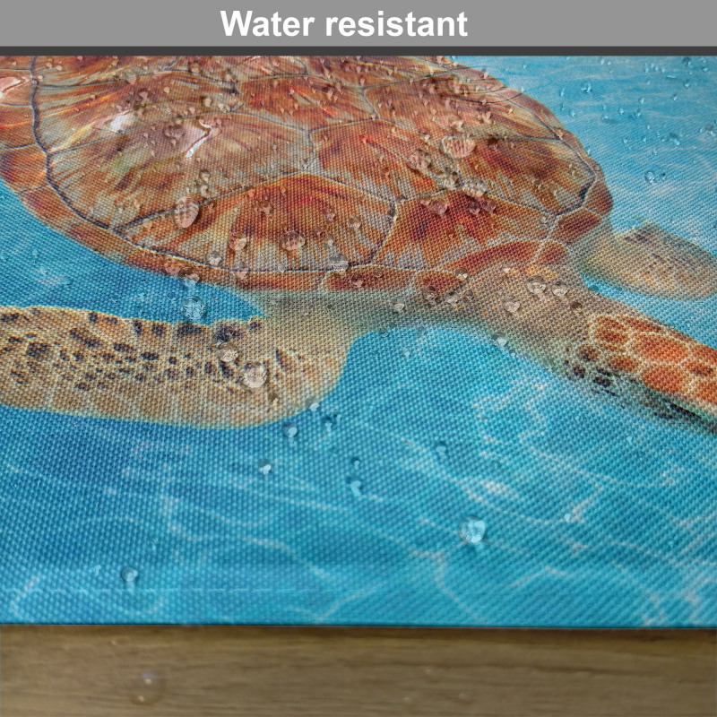 Chelonia Water Surface Place Mats