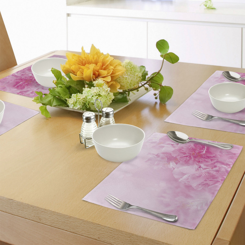 Spring Flora Shabby Place Mats