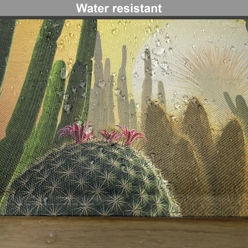 Sunset Desert Ecology Place Mats