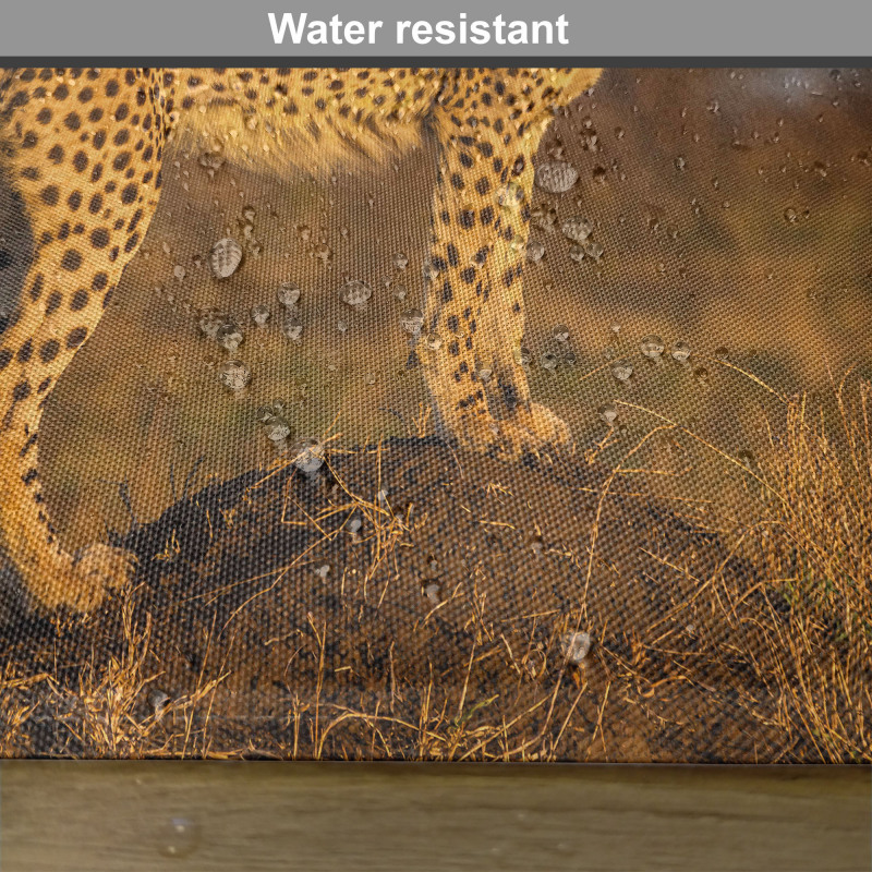 Wild Cheetah Place Mats