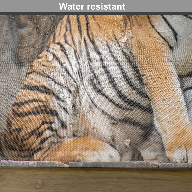 Bengal Tiger Cat Predator Place Mats