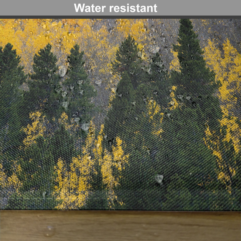 Colorful Aspen Trees USA Place Mats