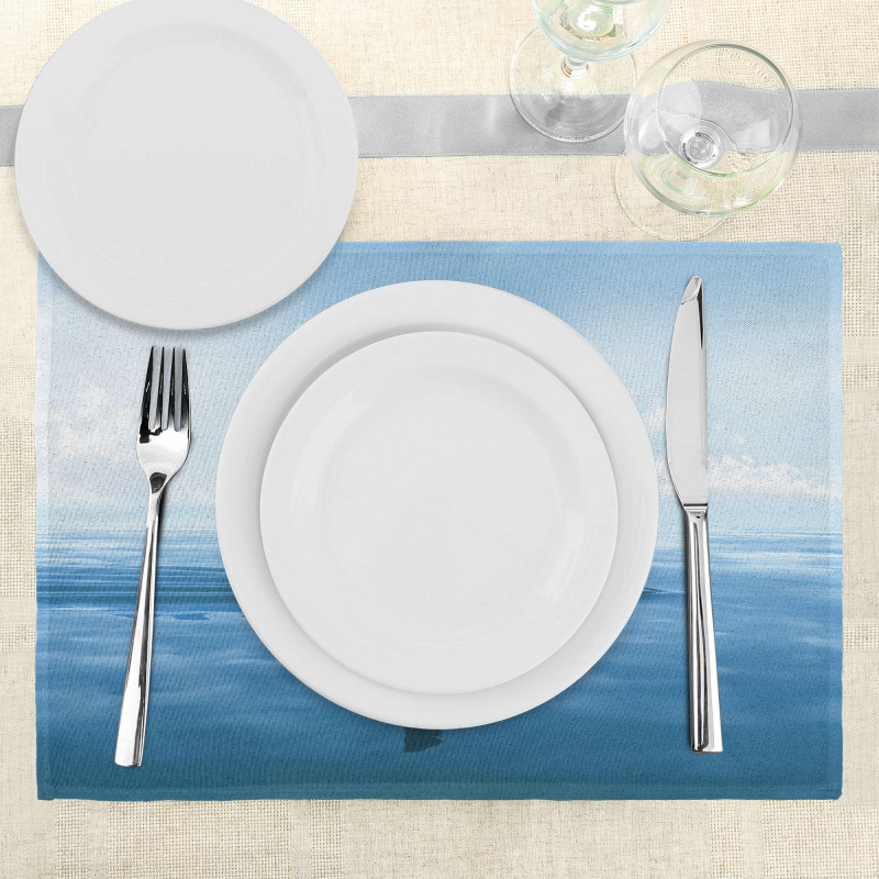 Fin Sea Surface Danger Place Mats