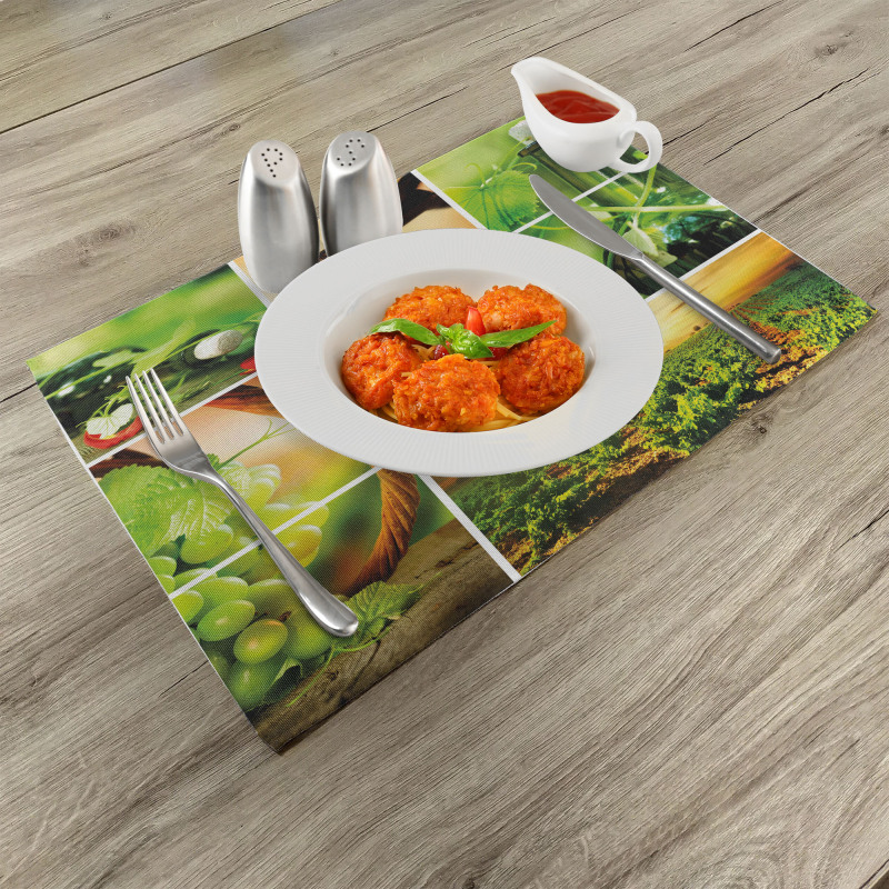 Wine Tasting Grapevine Place Mats