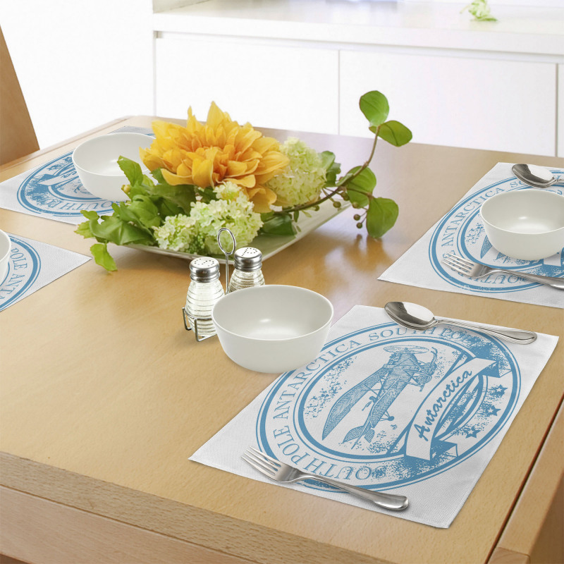 South Antarctica Place Mats