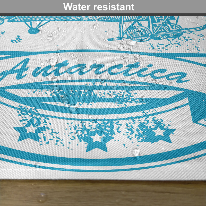 South Antarctica Place Mats