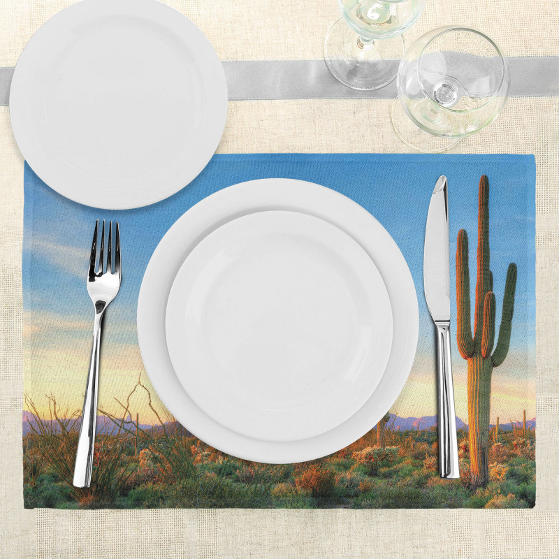 Sonoran Desert Sunset Place Mats