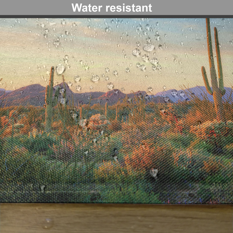 Sonoran Desert Sunset Place Mats