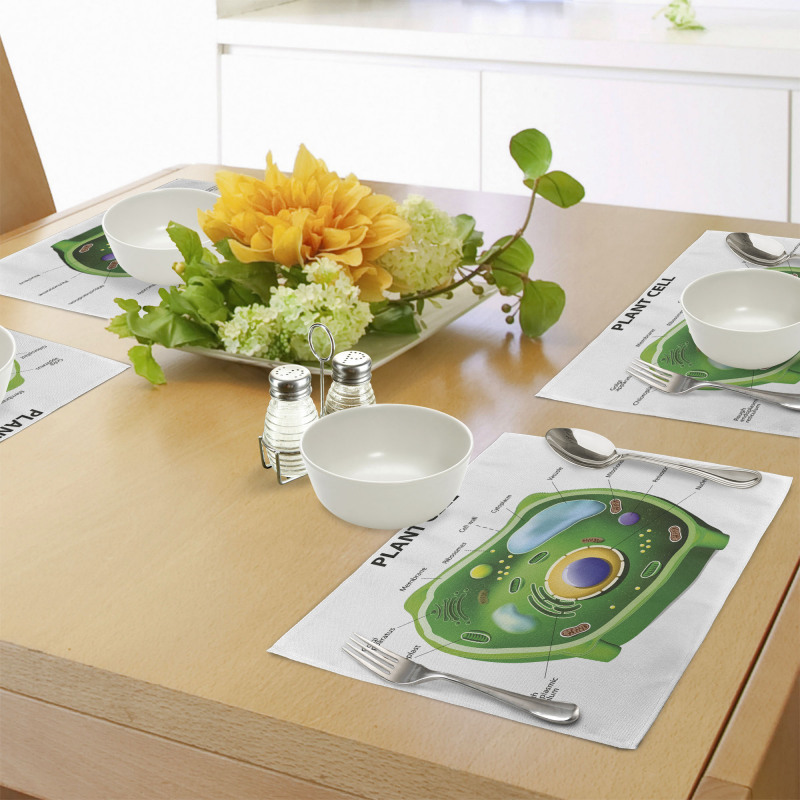 Cell Biology Plant Place Mats