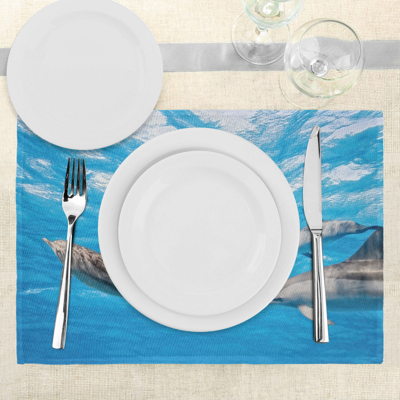 Happily Swimming Fish Place Mats