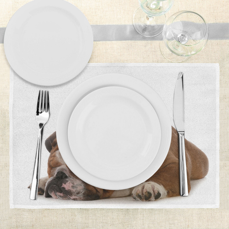 Father and Son Place Mats