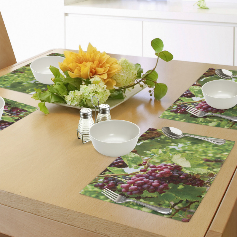 Bunch of Wine Fruits Foliage Place Mats