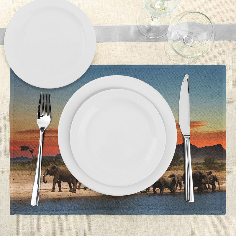 Safari Wildlife Place Mats