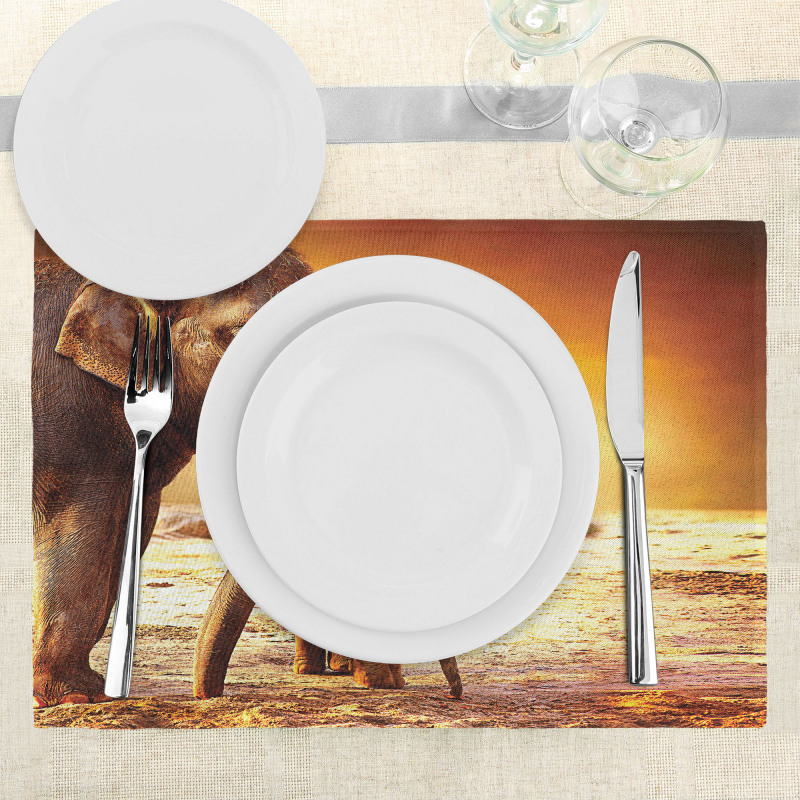 Mother Baby Elephant Family Place Mats