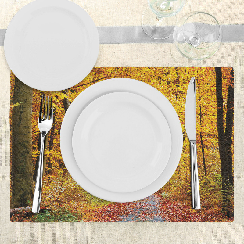 Foliage Leaves Autumn Place Mats