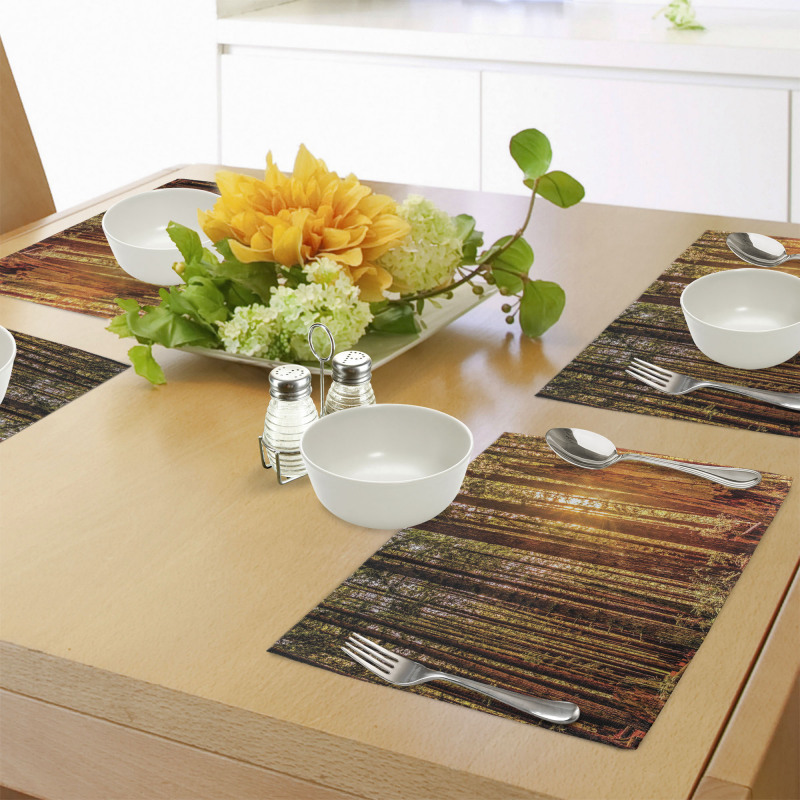 Redwoods Forestry Place Mats