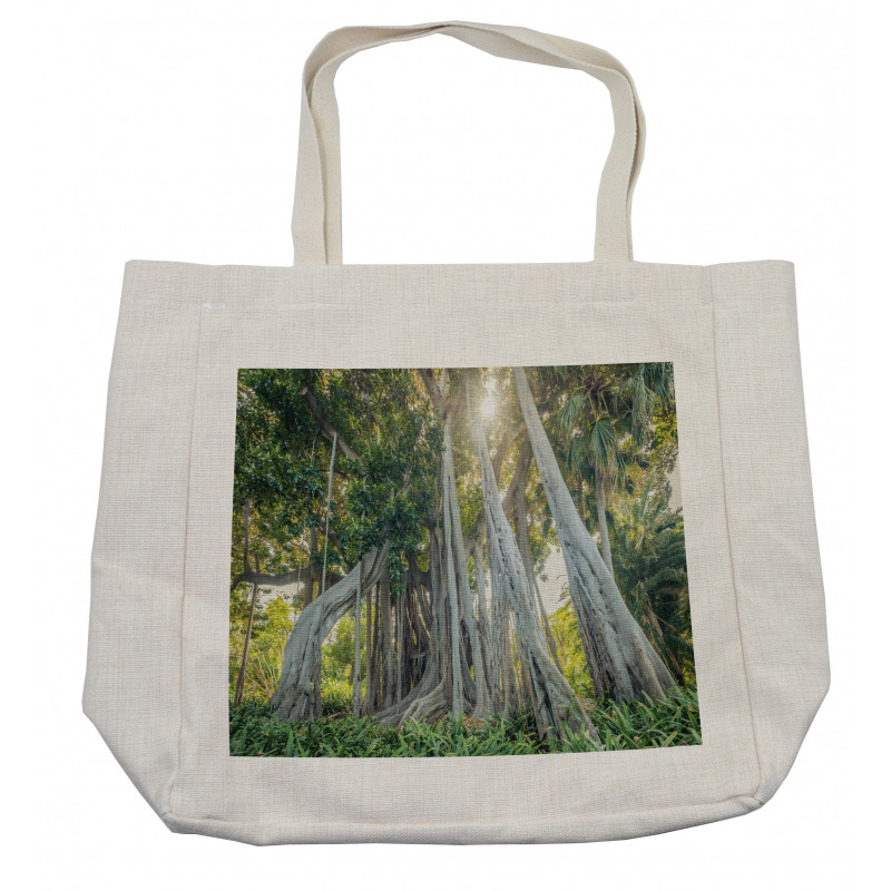 Giant Ficus Trunk Sunbeams Shopping Bag