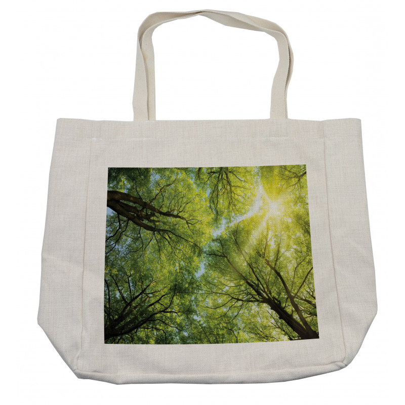 Romantic Beech Trees Shopping Bag