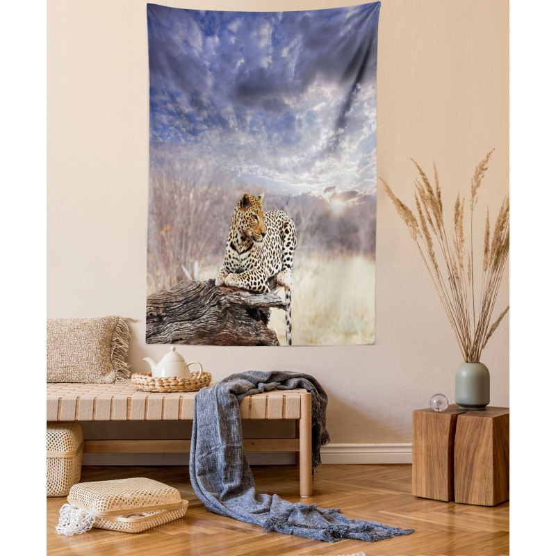 Cloudscape Sunset Scene Tapestry